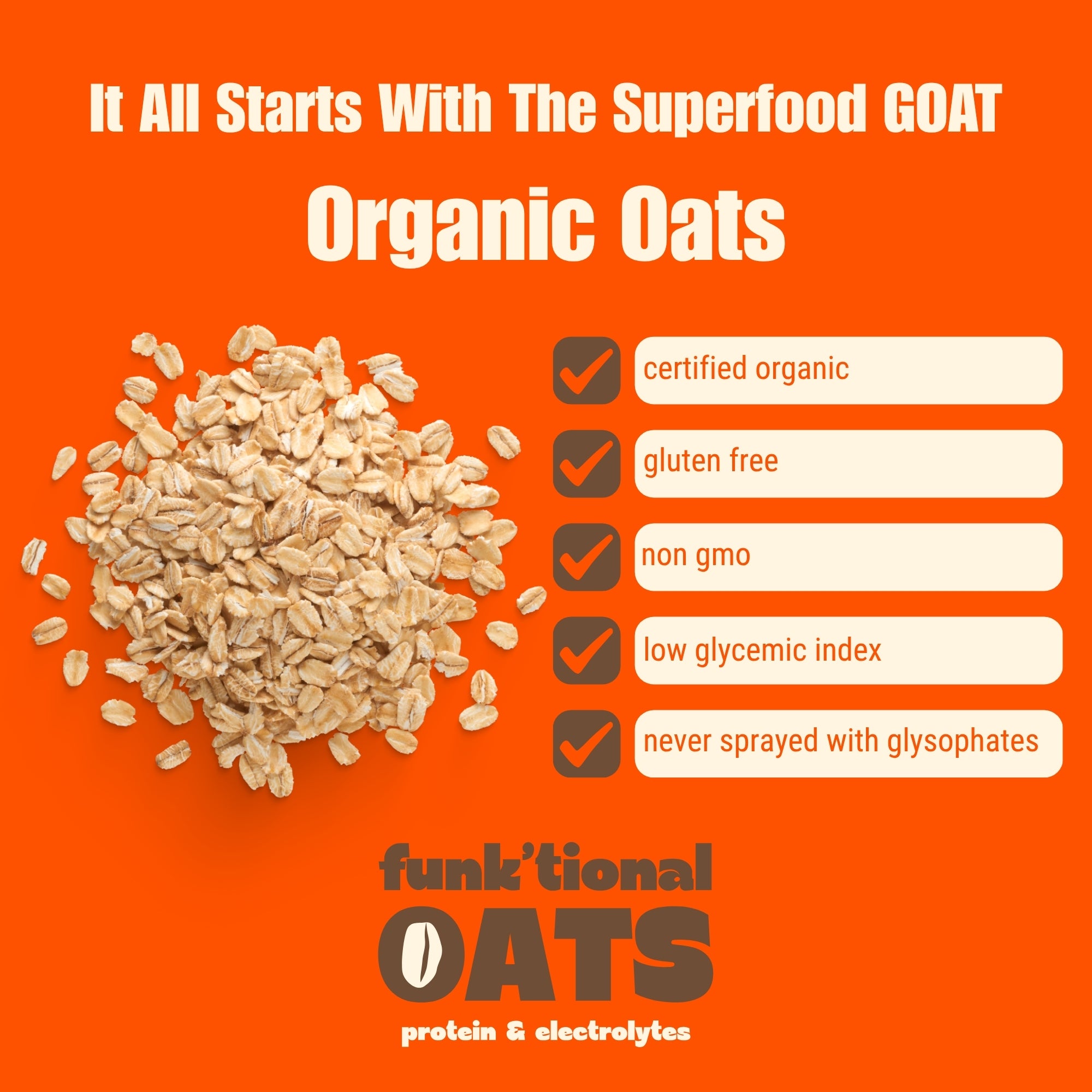 Peanut Butter Chocolate